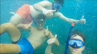 Snorkeling in TABARCA Island  Summer Trip [upl. by Madalena]