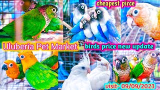 Uluberia pet market  Birds pirce updated 09092023 Uluberia pakhir haat cheapest sale viral [upl. by Rogerio]