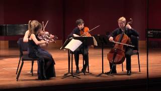 Beethoven String Quartet in C minor Op 18 No 4 Movement I Allegro ma non tanto [upl. by Harac736]