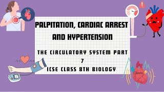 PALPITATION CARDIACARREST amp HYPERTENSION  THE CIRCULATORY SYSTEM  PART 7  ICSE CLASS 8TH BIOLOGY [upl. by Julis]