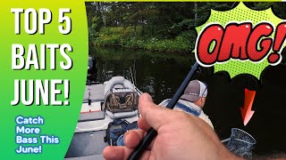 The Best 5 Baits to use for June Bass Fishing [upl. by Aneryc692]