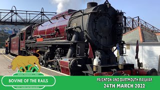 Dartmouth Steam Railway King 6023 Footplate Experience [upl. by Olnee977]