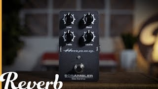 Ampeg Scrambler Bass Overdrive  Reverb Demo Video [upl. by Eizus]