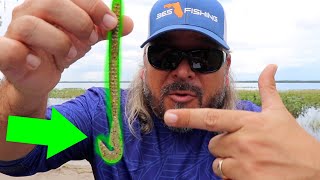 How to go SPEED WORM FISHING – HOT weather Summer bass fishing with speed worms  KastKing [upl. by Persons]