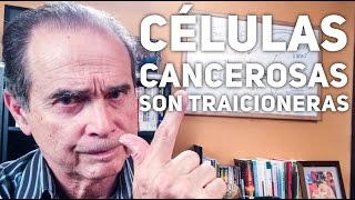 Episodio 1176 Células Cancerosas Son Traicioneras [upl. by Finnegan458]