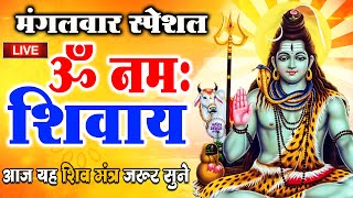 LIVE ॐ नमः शिवाय धुन  Om Namah Shivaya ShivDhun  NonStop ShivDhun  Daily Mantra [upl. by Stahl]