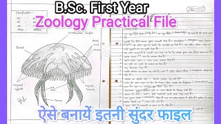 BSc 1st Year Zoology Practical File ☺ Rajasthan University and All Universities [upl. by Dalila430]