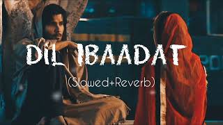 Dil Ibaadat Kar Raha Hai  New lofi song  sad hindi slowedreverb lofi slowedandreverb [upl. by Isadora]