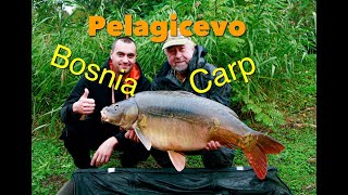 Bosnia Carp Pelagicevo [upl. by Aldo]