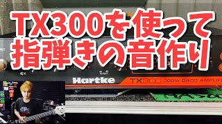 Hartke TX300を使ってベースの音作りをじっくり解説 指弾き編 [upl. by Luap]