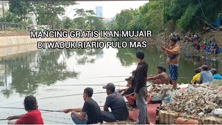 MANCING IKAN MUJAIR NILA GRATIS  Waduk Ria Rio pulomas jakarta timur [upl. by Obadias]