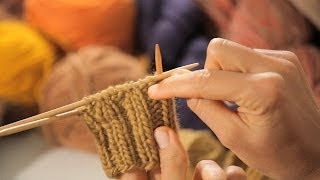 Distribute Stitches on 2Pointed Needles  Circular Knitting [upl. by Anikes618]