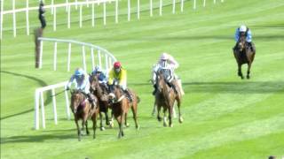 Punchestown Festival Highlights  DAY 1 [upl. by Jamnis]