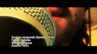 Fabian Gallardo  Durazno sangrando Spinetta cover [upl. by Pelagias]