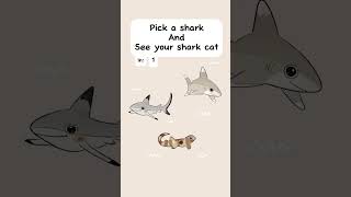 which shark cat did you pick sharks cat artist animation shorts [upl. by Anilram]