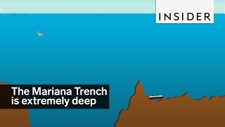 The Mariana Trench Is Deeper Than You Can Imagine [upl. by Lanod928]