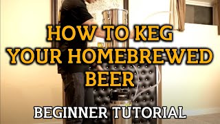 How To Keg Your Homebrewed Beer  Beginner Tutorial [upl. by Beera]