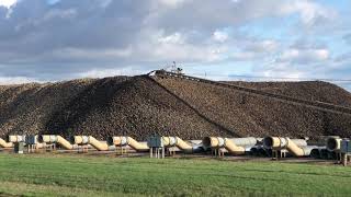 Sugar Beet Harvest Underway [upl. by Ramat]