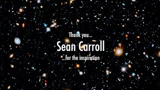 SEAN CARROLL  The Meaning of Life [upl. by Adnuhsat]