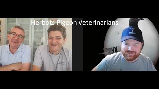 Raf and Kobe Herbots Pigeon Veterinarians  Belgium [upl. by Eidac537]