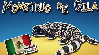 Monstruo de gila El lagarto colorido y venenoso Animales del Mundo Mes de México [upl. by Mcguire418]