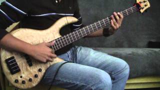 Elrick Gold Series Bass [upl. by Ellekcir942]