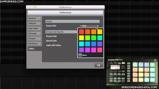 Maschine Mikro DVD LessonsColor Preferences [upl. by Obala631]