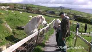 The Ring of Dingle  Irelands Dingle Peninsula [upl. by Zobkiw]