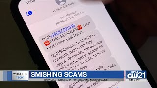 What The Tech Smishing Scams [upl. by Hernardo772]