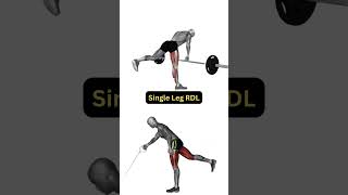 Home Workout For Strong Legs Resistance Band Leg Workout Barbell Equivalents [upl. by Conrado]