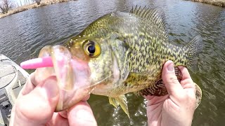 Ice Out Fishing For Spring Crappies [upl. by Wildee792]