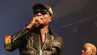 Koffi Olomide performs Effrakata Live at The Koroga Festival [upl. by Gnud]