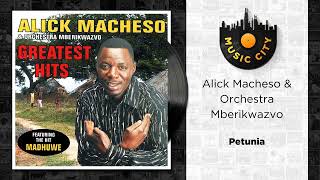 Alick Macheso amp Orchestra Mberikwazvo  Petunia  Official Audio [upl. by Hasen73]