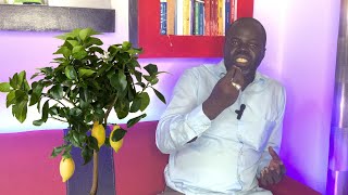 Ndiarignou Garabou Limon  Les vertus du Citronnier  Pr Ousmane Ndiaye  SAMA XALAAT TV [upl. by Mayce]