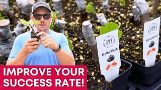 How to Root Fig Cuttings in Just Two Weeks  FAST amp EASY METHOD [upl. by Darra]