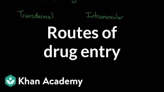 Routes of drug entry  Processing the Environment  MCAT  Khan Academy [upl. by Einobe]