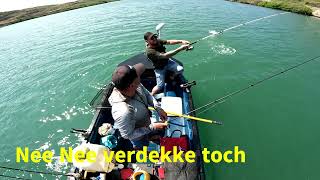 Jack en tarpon Inshorefishingtarponcuracao Bartje kayak [upl. by Benioff]