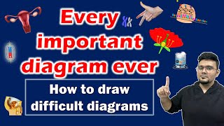 Every important diagram ever  How to draw difficult diagrams  SSC Class 10  Maharashtra state [upl. by Pasol352]