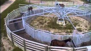 Odyssey Performance Horse Exerciser [upl. by Ayerdna]