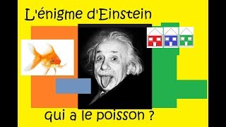 La célèbre énigme dEinstein [upl. by Anayt]