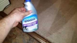 Woolite Pet Stain and Odor Remover Plus Oxy Carpet Cleaning [upl. by Neirb]