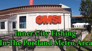 Exploring For Fishing Spots DOWNTOWN PORTLAND [upl. by Eisse]