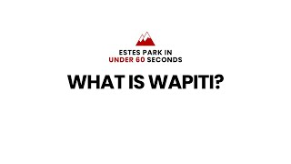 What is Wapiti estespark [upl. by Fasano751]