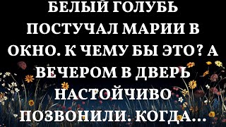 Таинственный визит белого голубя и неожиданный звонок что скрывается за этими знаками [upl. by Morissa587]