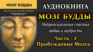 Мозг Будды Часть 2  Пробуждение Мозга Аудиокнига для саморазвития [upl. by Mowbray]