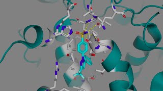 Celecoxib Celebrex and other COX2 Selective Inhibitors [upl. by Farkas]