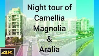 the Camellias  NIGHT TOUR OF GOLF LINK  dlf the magnolia  dlf the camellias  dlf the aralias [upl. by Guthry]