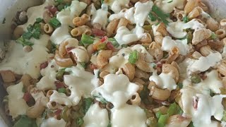 CHEESY VEGETARIAN RECIPES  VEG PASTA HAYATS KITCHEN [upl. by Nirej618]