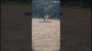 QOTD Do you think that they should remove horses from pentathlon eventing horse fyp [upl. by Atauqal]