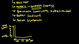 Lactate Threshold [upl. by Marlette]